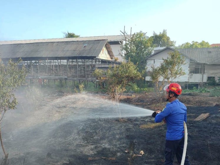 Petugas memadamkan api yang membakar lahan gambut di Baamang Hulu, Kecamatan Baamang, Kabupaten Kotawaringin Timur, baru-baru ini. (TRC BPBD Kotim)