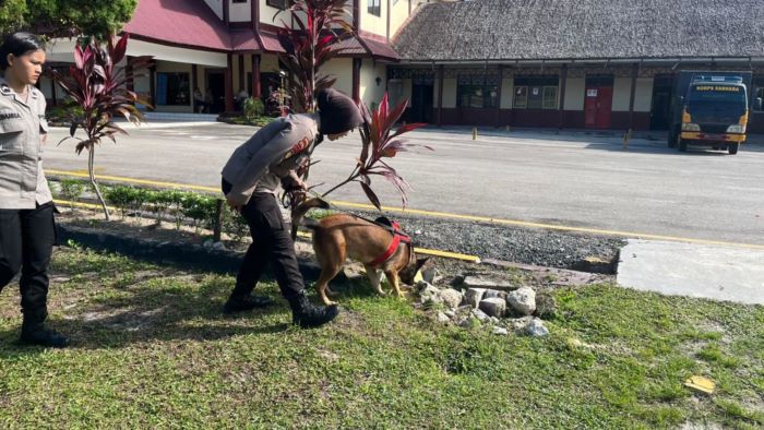 ILUSTRASI - Regu K9 Direktorat Samapta Polda Kalteng sedang melatih anjing melacak barang terlarang. FOTO: Dodi/RADAR SAMPIT