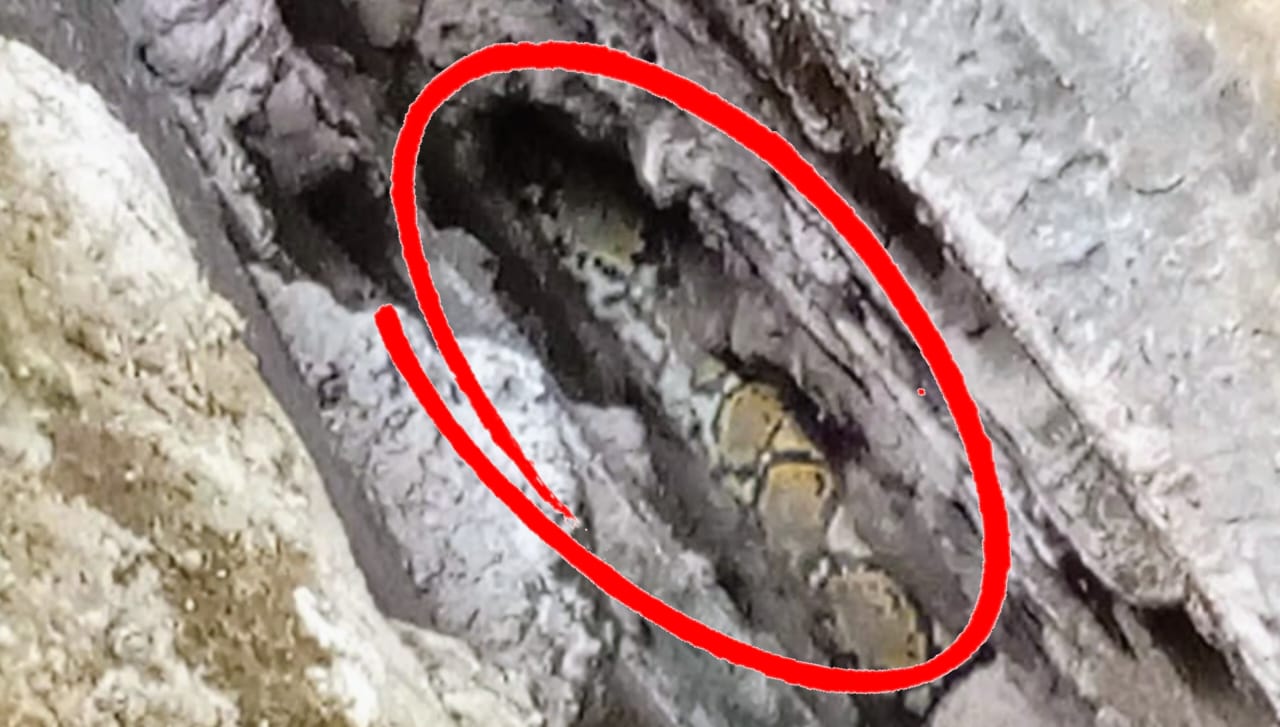 Ular tampak dari celah dinding kamar mandi warga di Jalan Gatot Subroto, Gang Tiung 1, Kelurahan Sawahan, Kecamatan Mentawa Baru Ketapang. (Disdamkarmat Kotim untuk Radar Sampit)