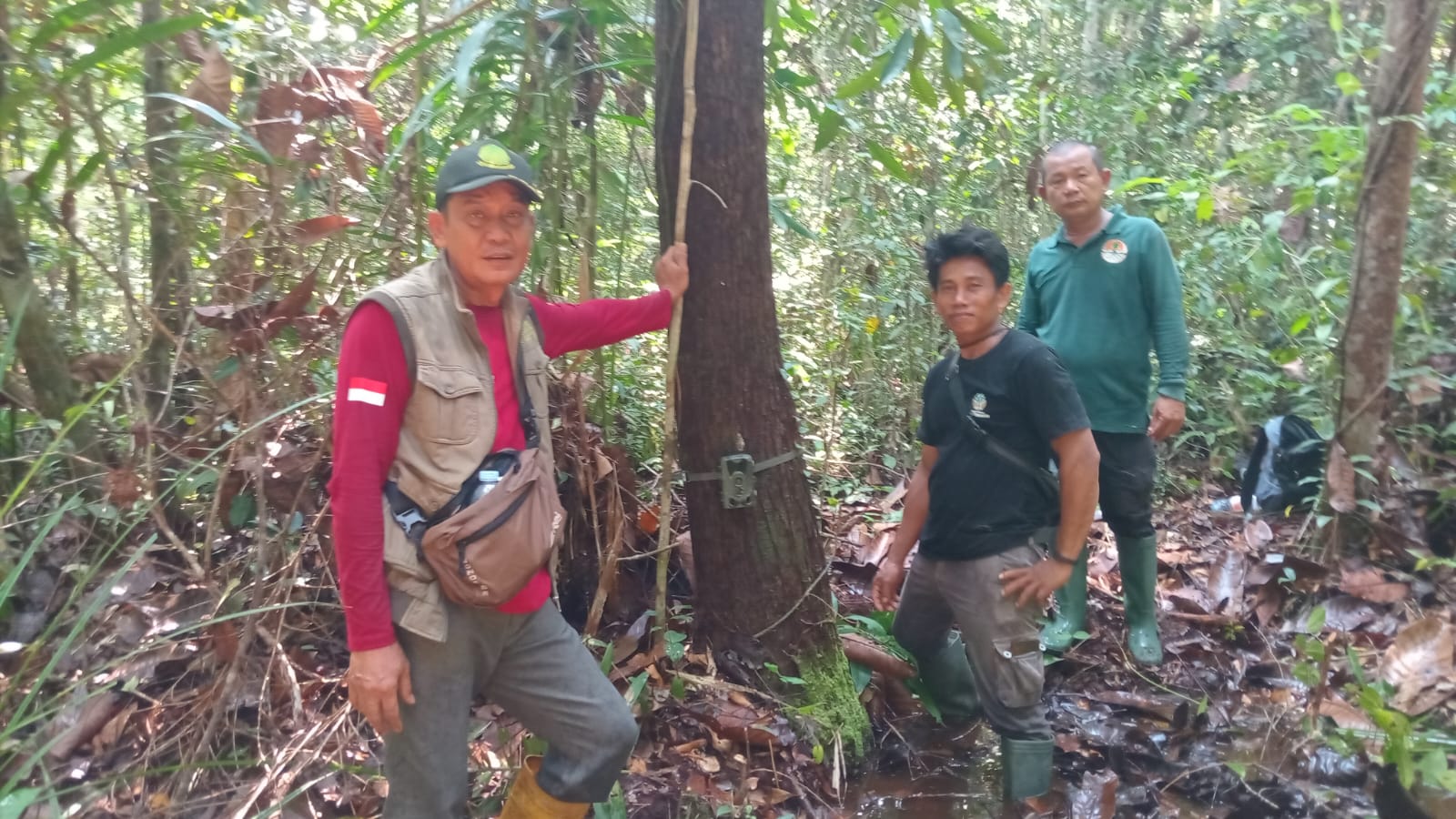 Petugas memasang kamera trap di Taman Wisata Alam Tanjung Keluang. (BKSDA untuk Radar Sampit)
