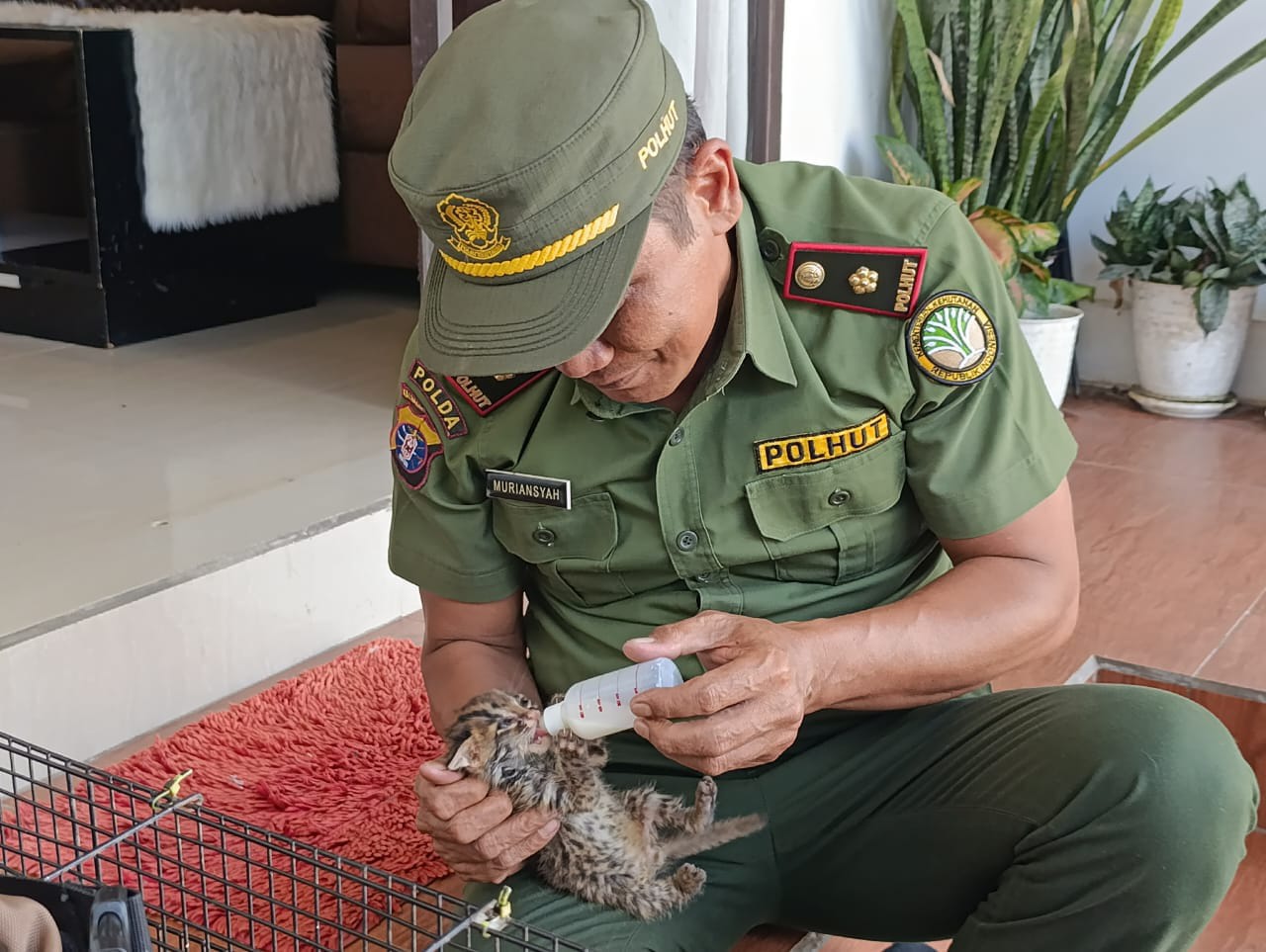 Kepala BKSDA Resort Sampit Muriansyah bersama anak kucing hutan yang diserahkan oleh warga. (BKSDA untuk Radar Sampit)