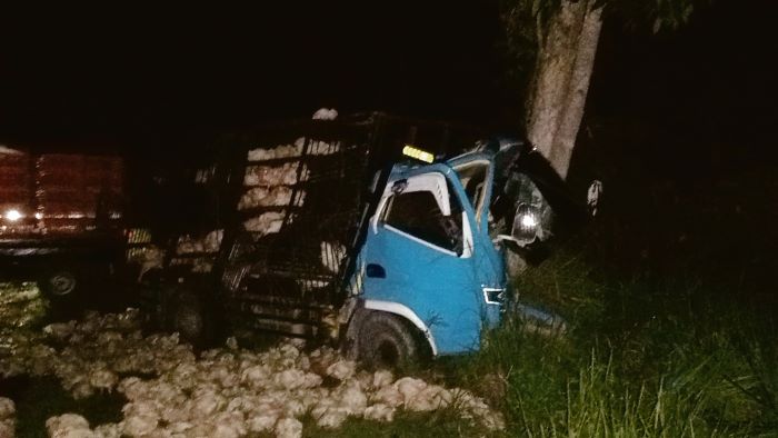 CELAKA Mobil pikup bermuatan ayam mengalami kecelakaan di Jalan Ahmad Yani, Desa Purbasari, Kecamatan Pangkalan Lada, Kabupaten Kotawaringin Barat, belum lama ini. FOTO: IST/RADAR SAMPIT