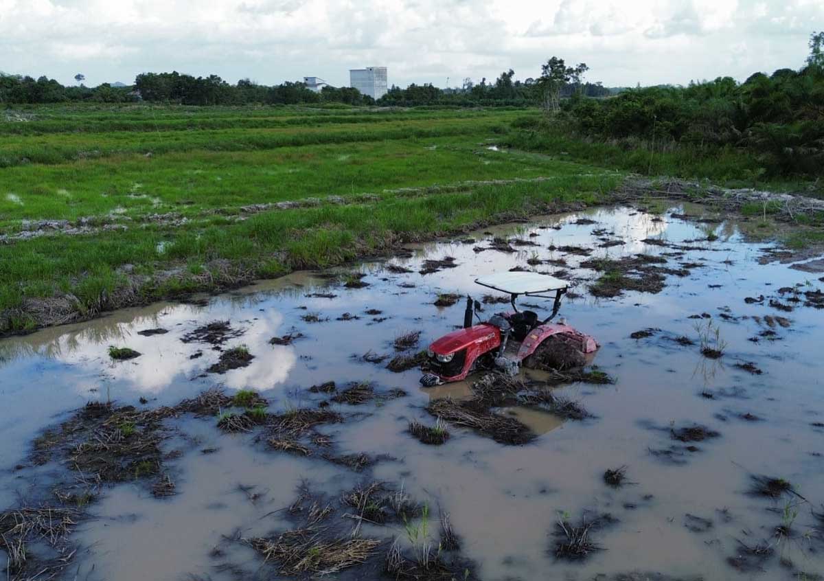 PROGRAM: Lahan cetak sawah di Lamandau yang jadi salah satu upaya ketahanan pangan.