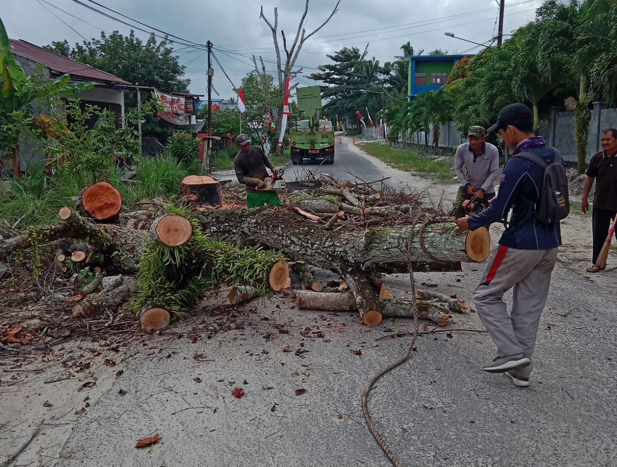 Penebangan pohon rawan tumbang di Jalan H Mustalim, Kelurahan Madurejo, Kecamatan Arut Selatan, Kabupaten Kotawaringin Barat, Sabtu (16/8).