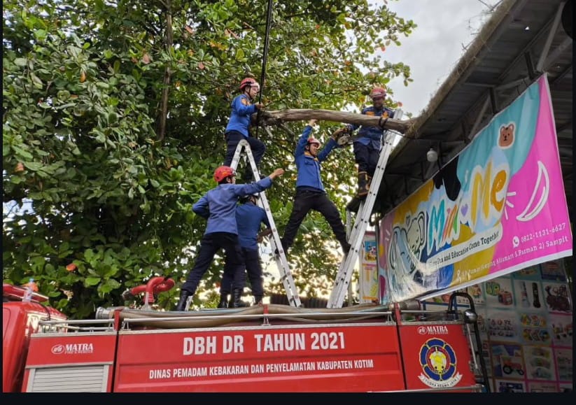 Petugas mengevakuasi pohon tumbang yang menimpa kanopi toko di Jalan S Parman Sampit, Selasa sore (19/8/2025)