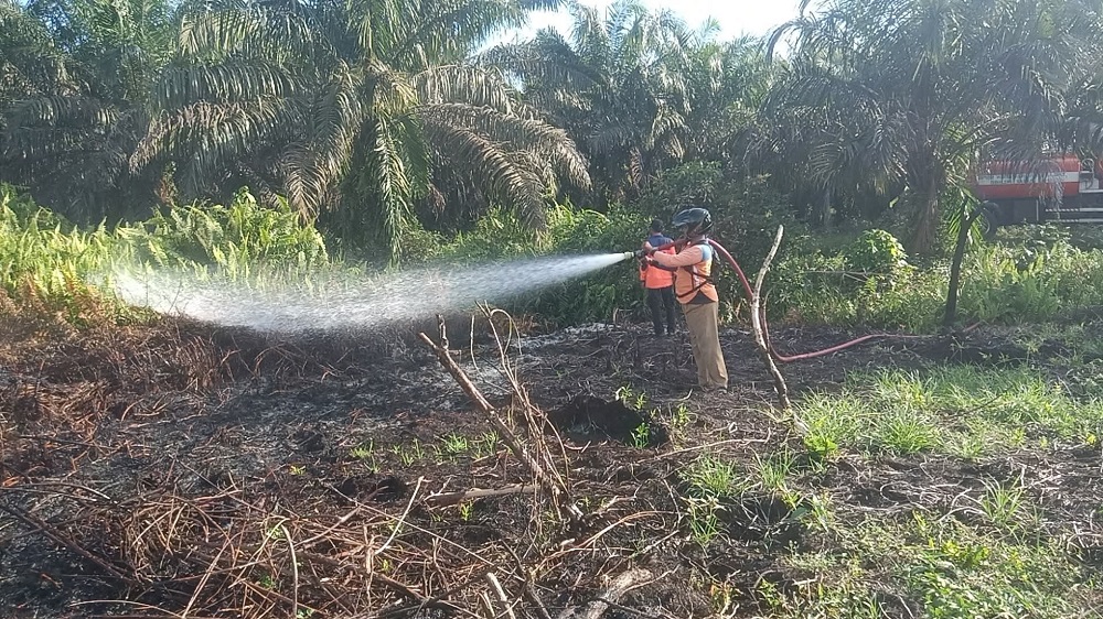 Dalam Sehari, Dua Titik Karhutla Terjadi di Kumai