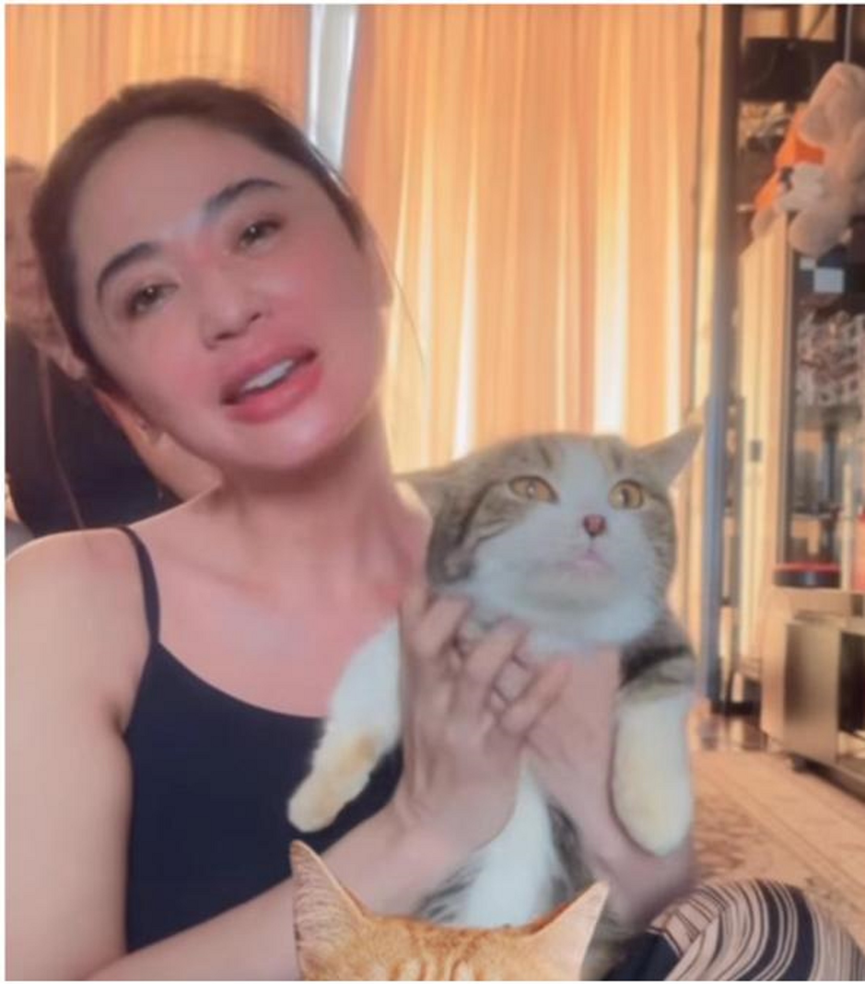 Dewi Perssik bersama Ice, seekor kucing Eko Patrio yang diselamatkannya usai terjadi penjarahan, (30/8) malam.