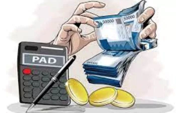 ilustrasi PAD/Jawapos