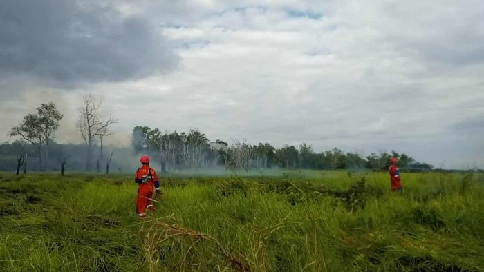 PENANGANAN : Tim Rescue Damkar Regu 2 bersama sejumlah instansi lintas sektor melakukan penanganan kebakaran lahan di tepi Danau Sabangau, Palangka Raya, Kamis (4/9/2025). FOTO: DAMKAR/RADAR SAMPIT