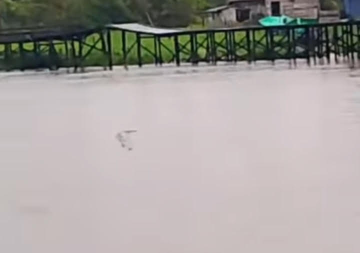 Buaya terlihat muncul di perairan sekitar Kelurahan Mendawai, Kecamatan Arut Selatan, Kabupaten Kobar, Jumat (5/9).
