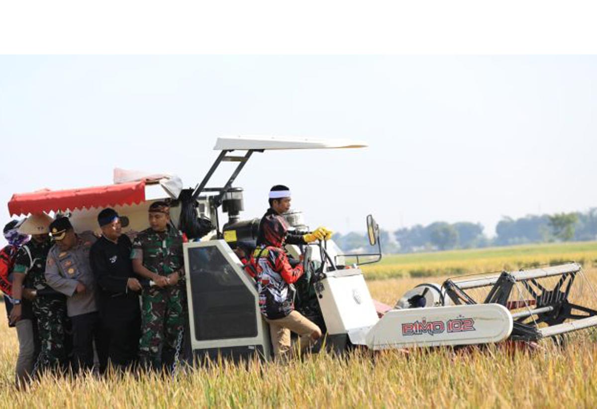 PERCEPAT SWASEMBADA: Teknologi Combine Harvester jadi andalan Purwakarta untuk mempercepat Panen Raya.