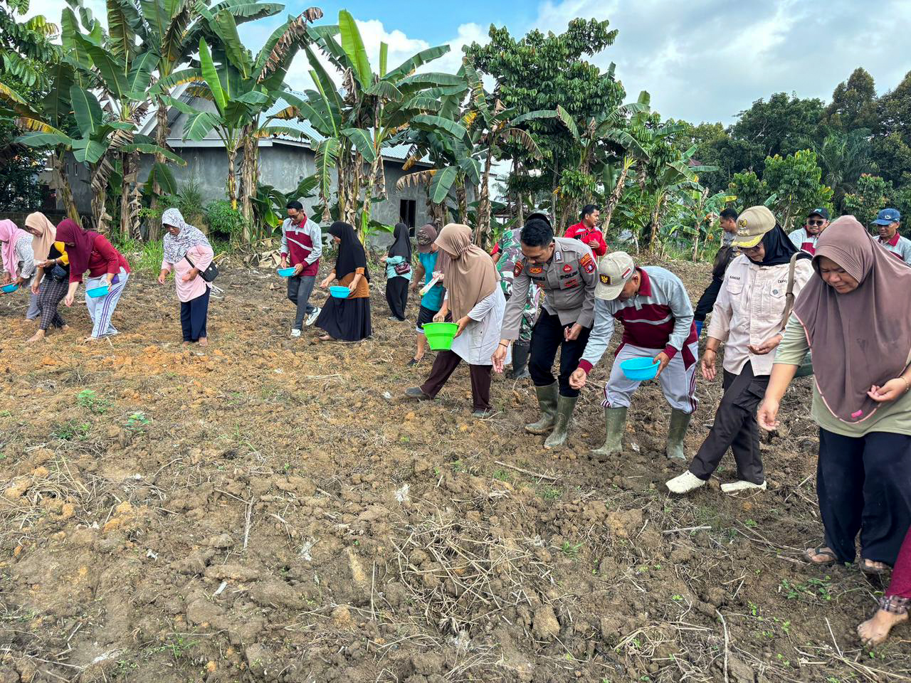 Camat Seruyan Tengah bersama unsur pemerintah dan masyarakat melakukan penanaman jagung di Desa Sukorejo, Senin (8/9).