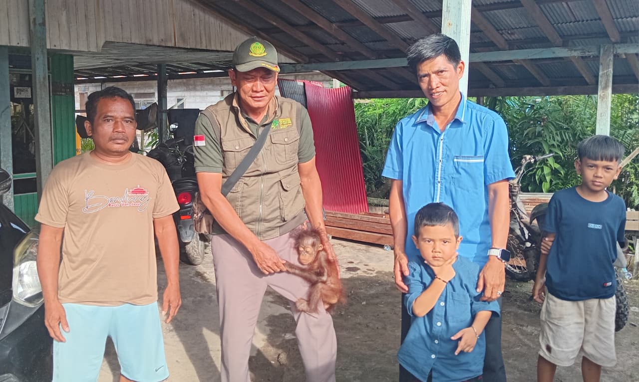 Kepala BKSDA Resort Sampit Muriansyah saat menerima penyerahan bayi orangutan dari Desa Ramban, Kecamatan Mentaya Hilir Utara, Kabupaten Kotawaringin Timur, Minggu sore (14/9/2025)