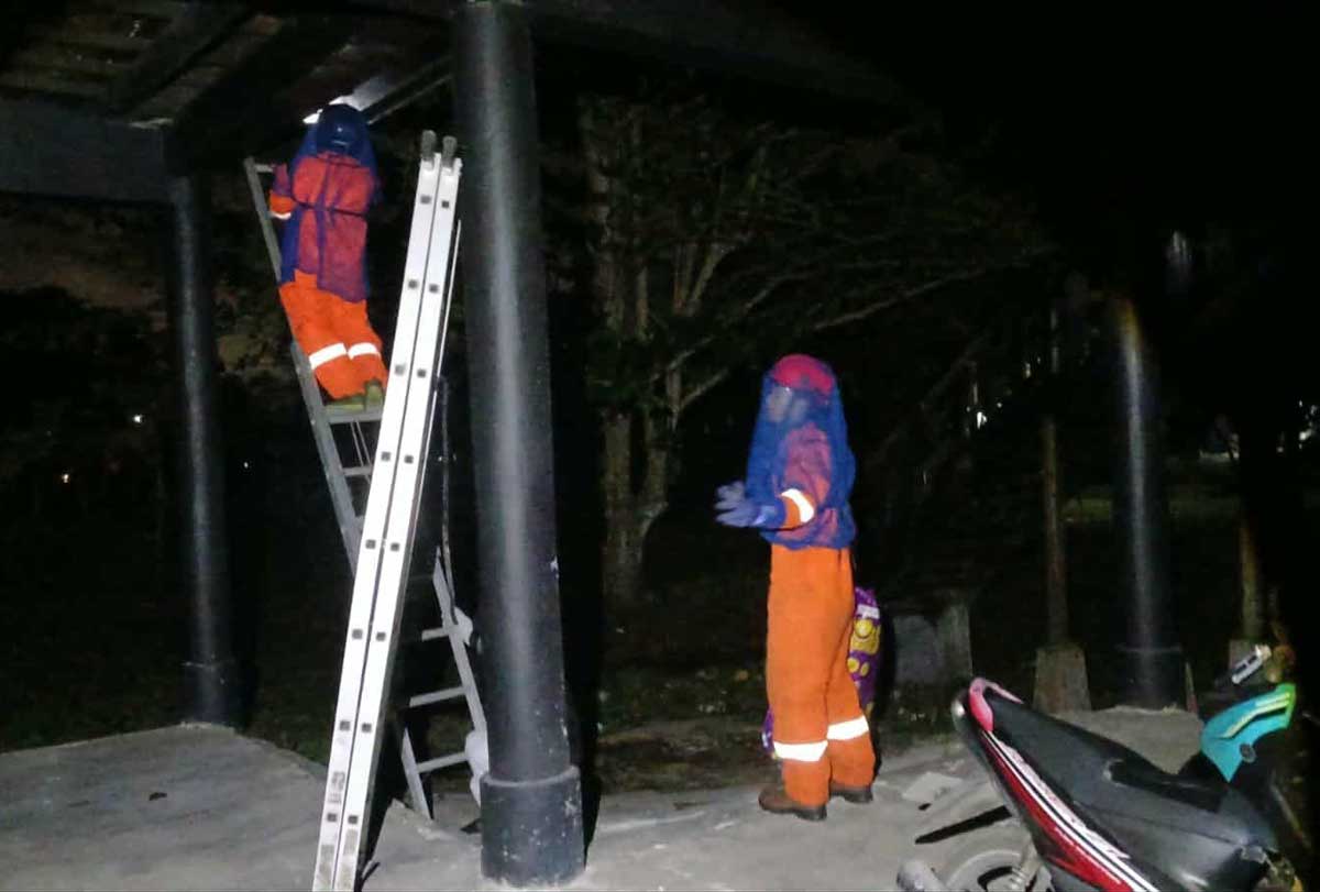 PENANGANAN: Tim Rescue Damkar Kota Palangka Raya saat menangani laporan soal sarang tawon vespa.
