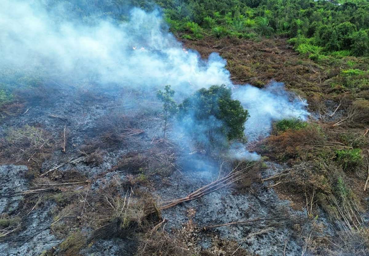 KARHUTLA: Kebakaran lahan di Jalan Rambutan - Lingkar Selatan, Sampit pada Senin (15/9).