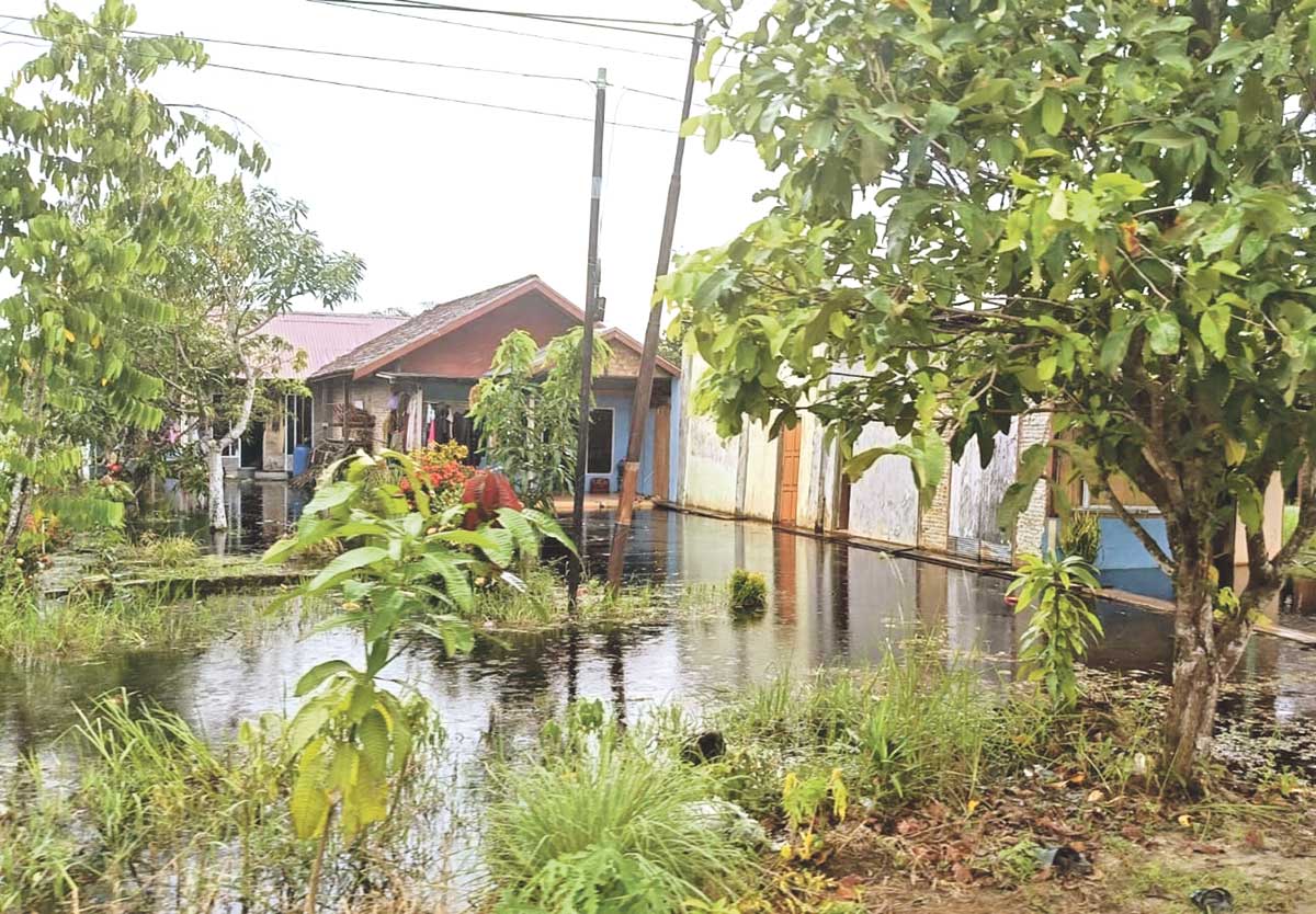 TERENDAM: Banjir yang terjadi di wilayah selatan Kabupaten Kotim, Selasa (16/9).