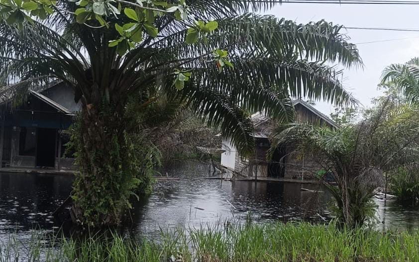 Banjir di salah satu wilayah Kabupaten Kotawaringin Timur, Kalimantan Tengah akibat intensitas hujan yang tinggi dalam beberapa hari terakhir.