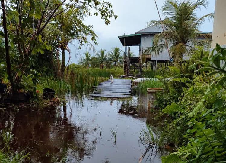 Banjir di Desa Lampuyang, Kecamatan Teluk Sampit belum surut. Di sisi lain titik panas diduga kebakaran juga mulai muncul di Kecamatan Mentawa Baru Ketapang.