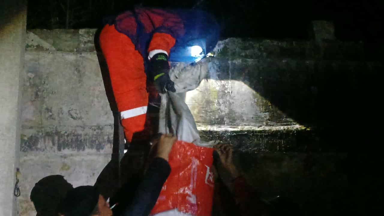 Tim Rescue Damkar kota Palangka Raya saat melakukan penanganan pemberantasan sarang tawon di Wisma Perkebunan, Jalan Cilik Riwut kilometer 7, Sabtu (27/9) malam.
