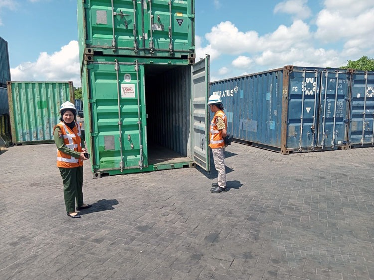 Petugas BKSDA Resort Sampit bersama petugas Pelindo Terminal Petikemas Bagendang mengecek petikemas tempat tenggiling diamankan sementara, setelah sebelumnya ditemukan berkeliaran area pelabuhan.