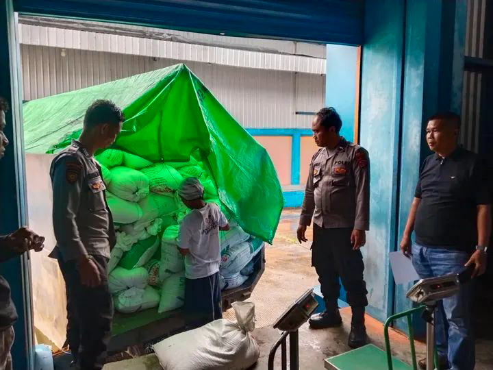 Proses pengantaran jagung pipil di Seruyan menuju Gudang Bulog