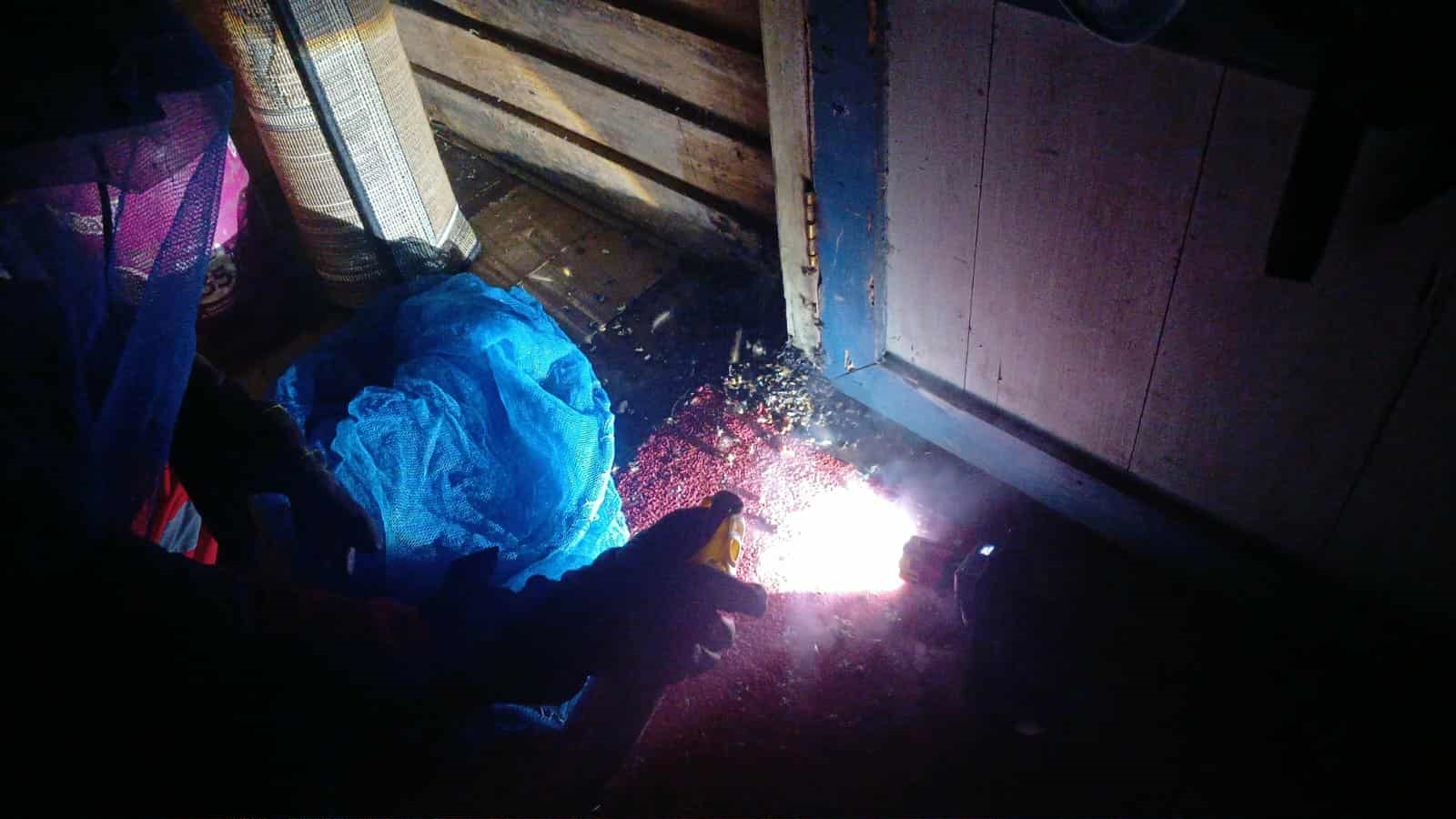 Tim Rescue Damkar Kota Palangka Raya saat mengevakuasi kawanan lebah madu dan sarangnya di salah satu rumah di Jalan Matal, Gang pelajar.