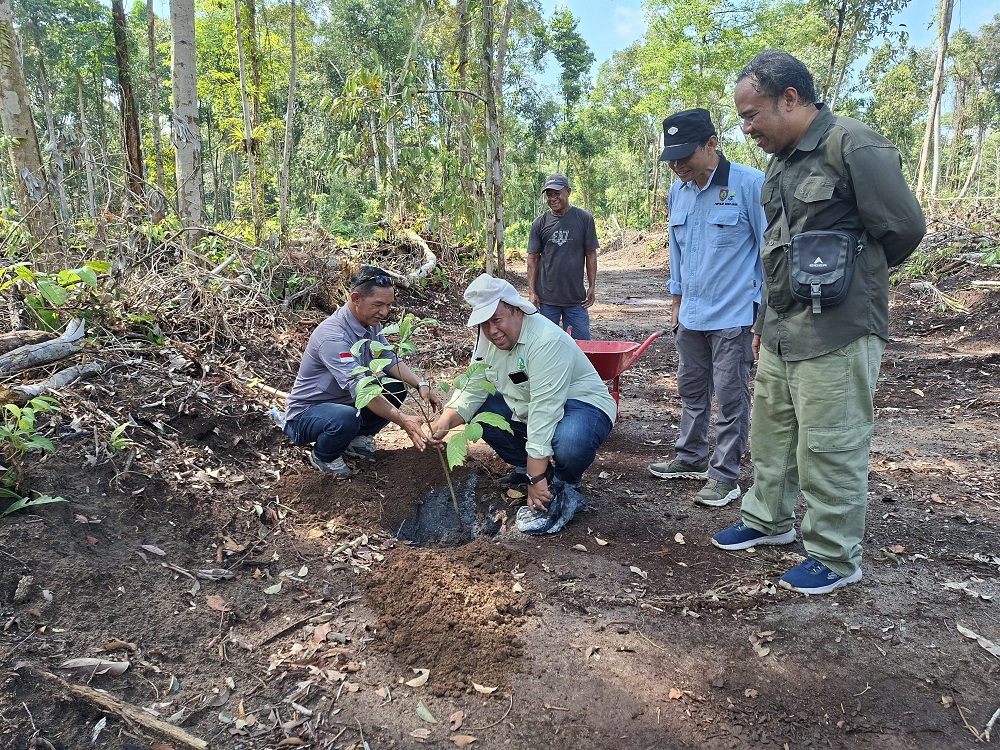 : Penanaman perdana bibit pohon Ulin di kawasan Wanawiyata Widyakarya, Kilometer 24 Jalan Pangkalan Bun&ndash;Kotawaringin Lama, belum lama ini.