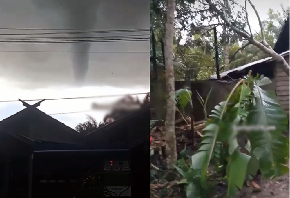 Angin puting beliung sempat terekam kamera warga Desa Bagendang Permai, Senin sore (6/10/2025). Tampak juga pohon tumbang akiban terpaan angin kencang tersebut.