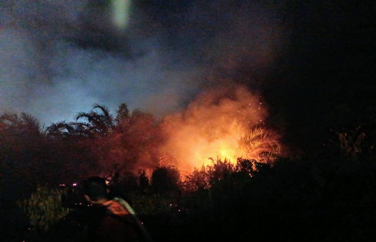 Kebakaran lahan yang terjadi di Sampit, Kabupaten Kotawaringin Timur, baru-baru ini. (BPBD Kotim)