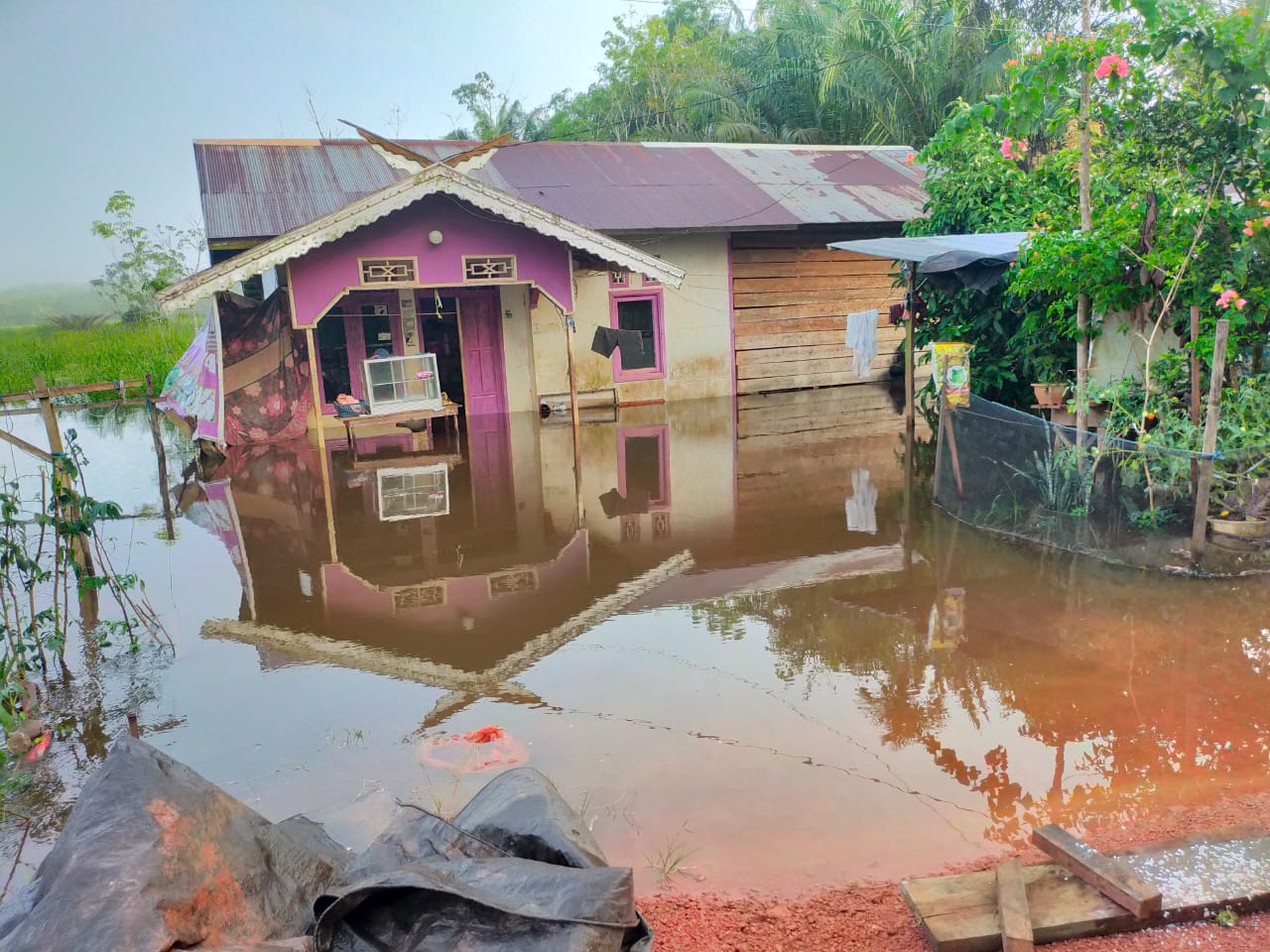 Banjir merendam salah satu rumah warga di Desa Sei Ubar Mandiri, Kecamatan Cempaga Hulu, Kamis (16/10/2025). (Emi untuk Radar Sampit)
