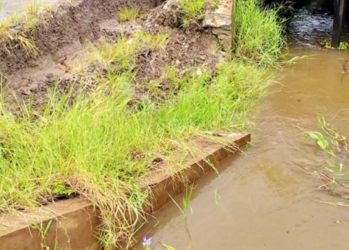 AMBROL : Siring jalan Lubut, Kelurahan Baru, Kecamatan Arut Selatan, Kabupaten Kotawaringin Barat (Kobar) longsor akibat tidak mampu menampung guyuran hujan, belum lama tadi. FOTO: IST/RADAR SAMPIT