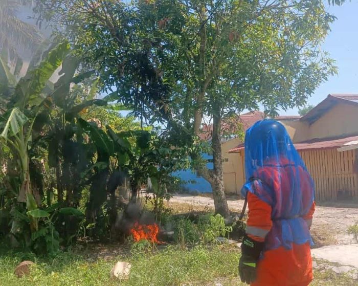 PENANGANAN : Tim Rescue Damkar Kota Palangka Raya evakuasi dan memusnahkan sarang tawon vespa dan lebah madu. FOTO: DAMKAR KOTA PALANGKA/RADAR SAMPIT