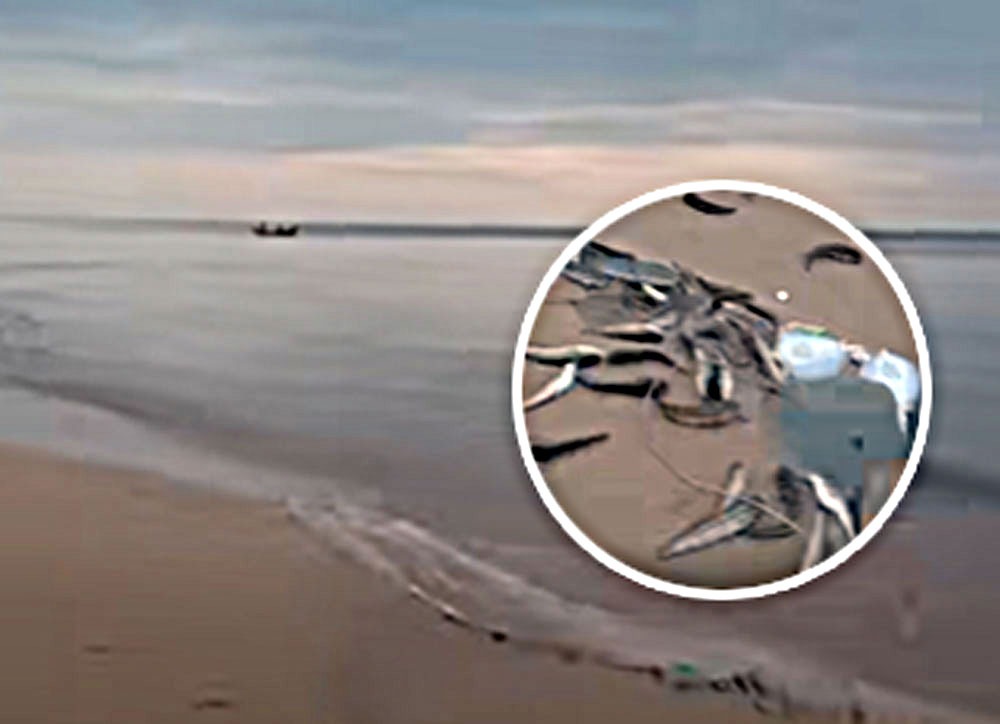 Suasana Pantai Ujung Pandaran, Kecamatan Teluk Sampit, usai nelayan menangkap banyak sembilang laut, Selasa (21/10/2025)