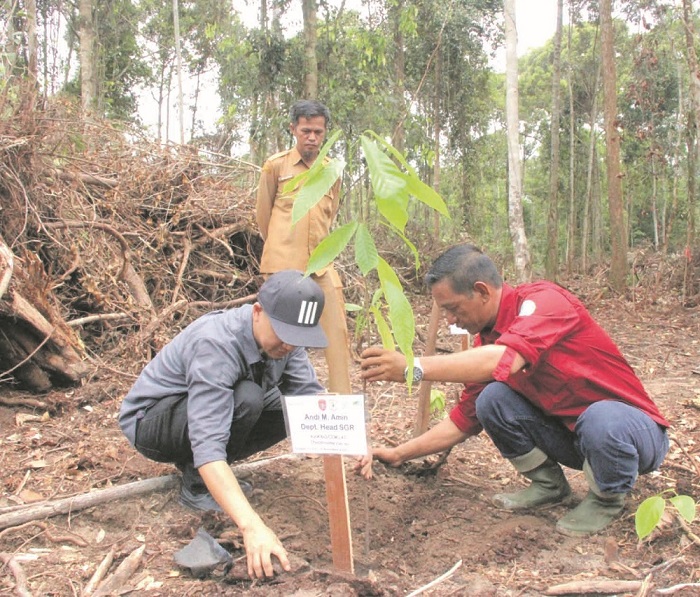 Penanaman bibit kakao secara simbolis anatara Andi Amin (Sustainability Governance Departement Head BGA) dan Srwani ( Ketua KTH Meniti Fajar) di kawasan Hutan Kemasyarakatan  Raja Seberang,  Kobar