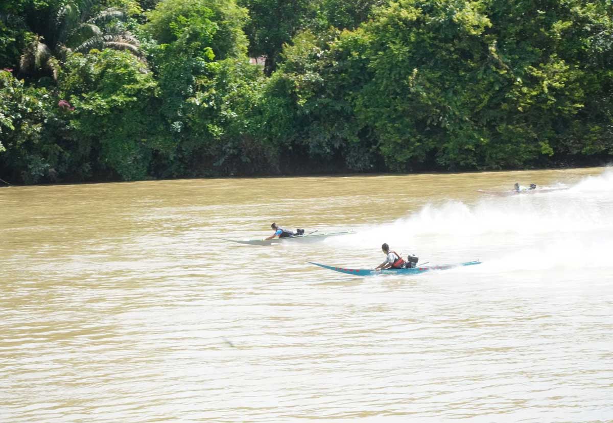 SERU: Tiga katinting adu cepat di Sungai Lamandau pada Lomba Balap Katinting Bupati Cup 2025.