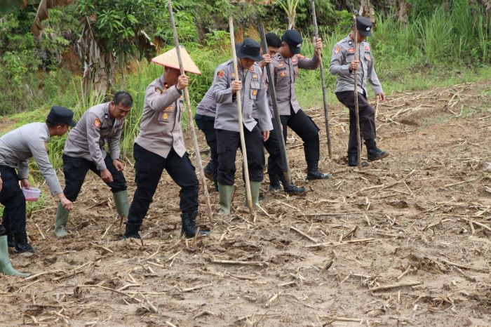 TANAM JAGUNG : Polres Gumas melaksanakan penanaman jagung di lahan milik Poktan Bumi Sejahtera Gumas Kahanjak, Kamis (23/10/2025). FOTO : HUMAS POLRES GUMAS/RADAR SAMPIT