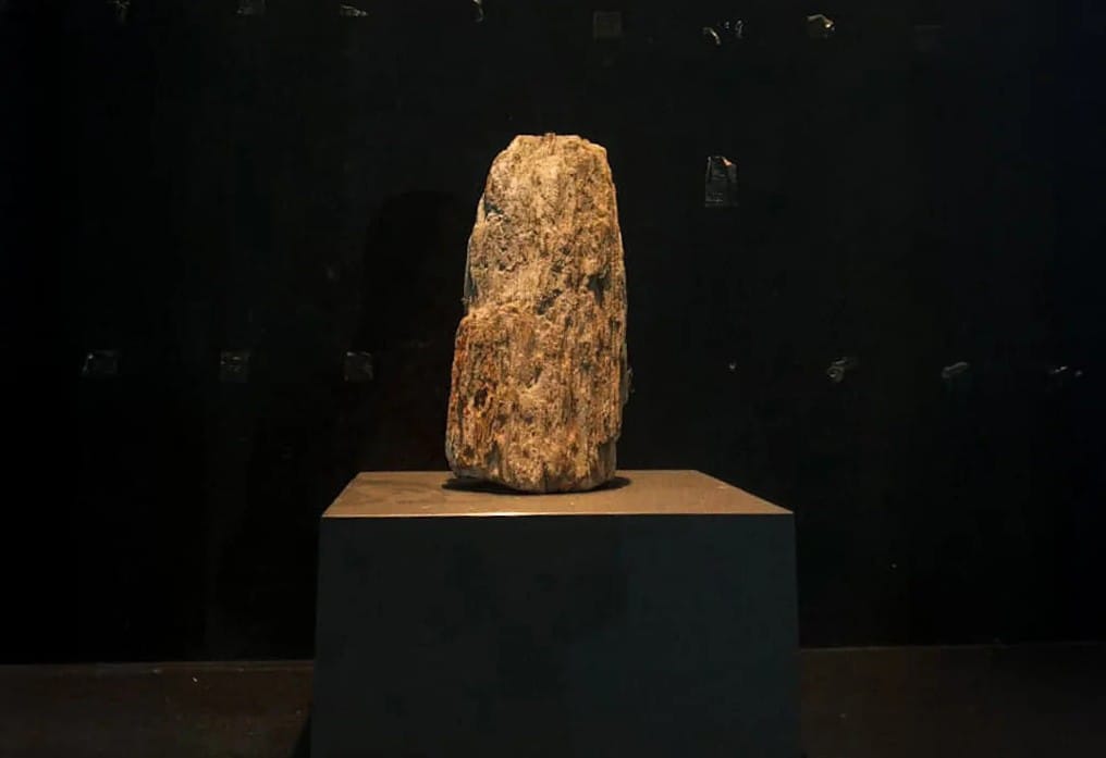 Fosil kayu purba yang menjadi koleksi Museum Kayu Sampit sukses diabadikan oleh bidikan kamera salah satu fotografer dalam sebuah bingkai yang memikat.