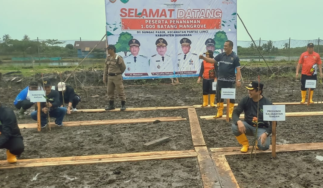 Bupati Sukamara Masduki saat penanaman mangrove sebagai rangkaian peringatan Hari Sumpah Pemuda 2025