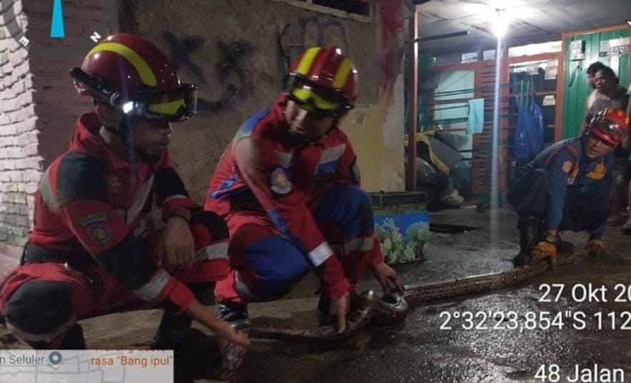 Petugas Disdamkarmat Kotim berhasil mengamankan ular yang masuk ke pipa saluran pembuangan rumah warga di Gang Sulewei, Jalan Yos Sudarso Sampit, Senin malam (27/10/2025).