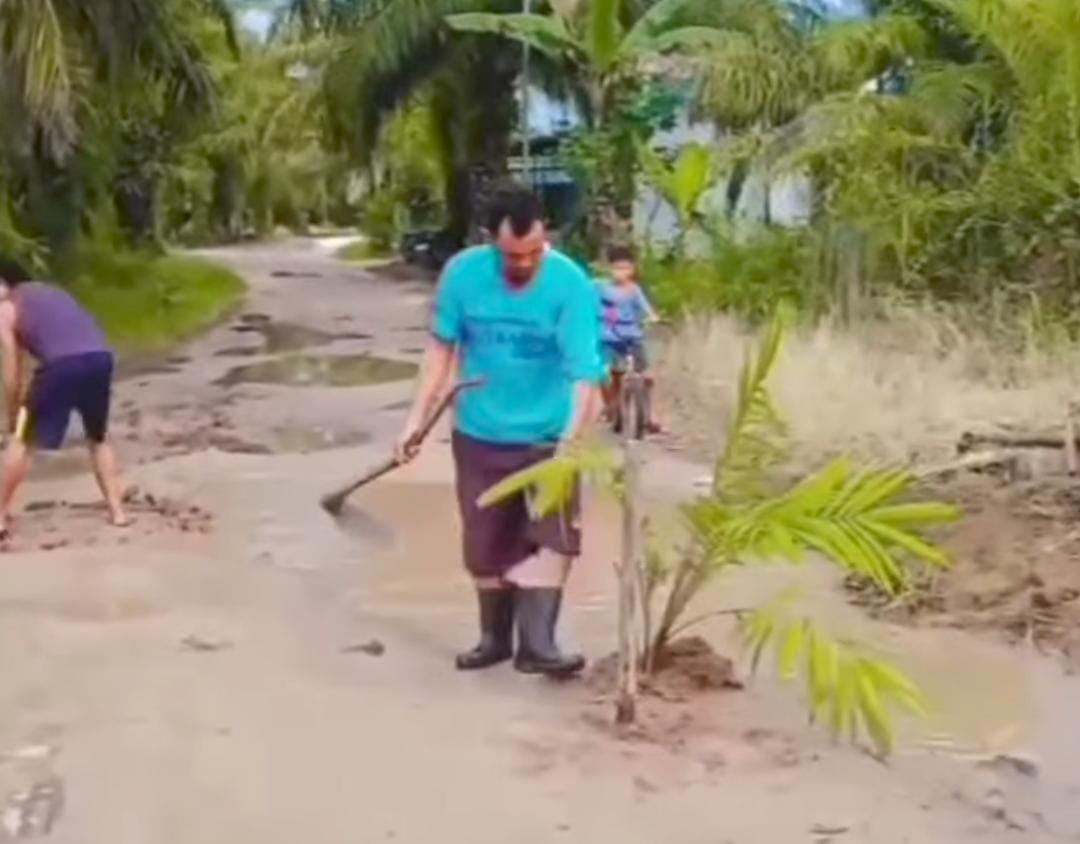 Warga Desa Bagendang Hilir, Kecamatan Mentaya Hilir Utara, menanam kelapa sawit di tengah jalan rusak.