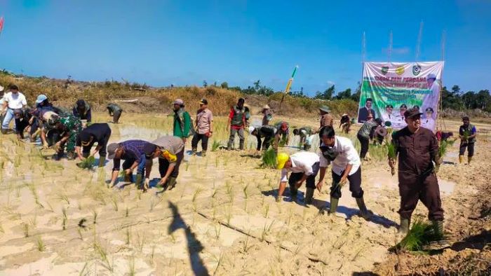 TANAM PADI: Bupati Seruyan Ahmad Selanorwanda bersama petani menanam padi di lahan Cetak Sawah Rakyat Desa Panimba Raya, Kecamatan Danau Seluluk, Sabtu (8/11/2025). FOTO: PROTOKOL SERUYAN/RADAR SAMPIT