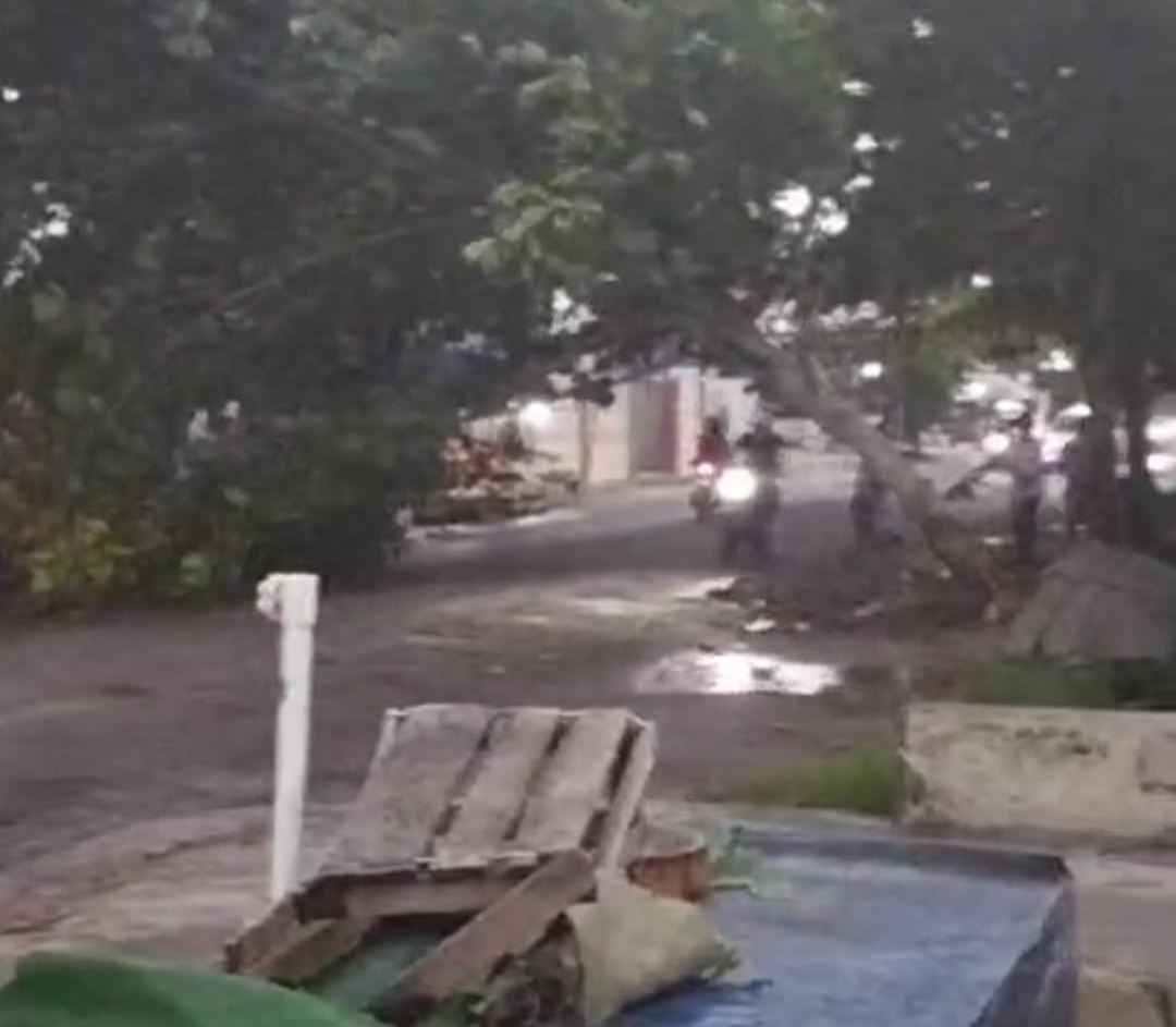 Potongan video rekaman warga, tampak pohon besar nyaris tumbang ke jalan DI DI Panjaitan, Kecamatan Mentawa Baru Ketapang, Kabupaten Kotawaringin Timur, Minggu (9/11/2025).