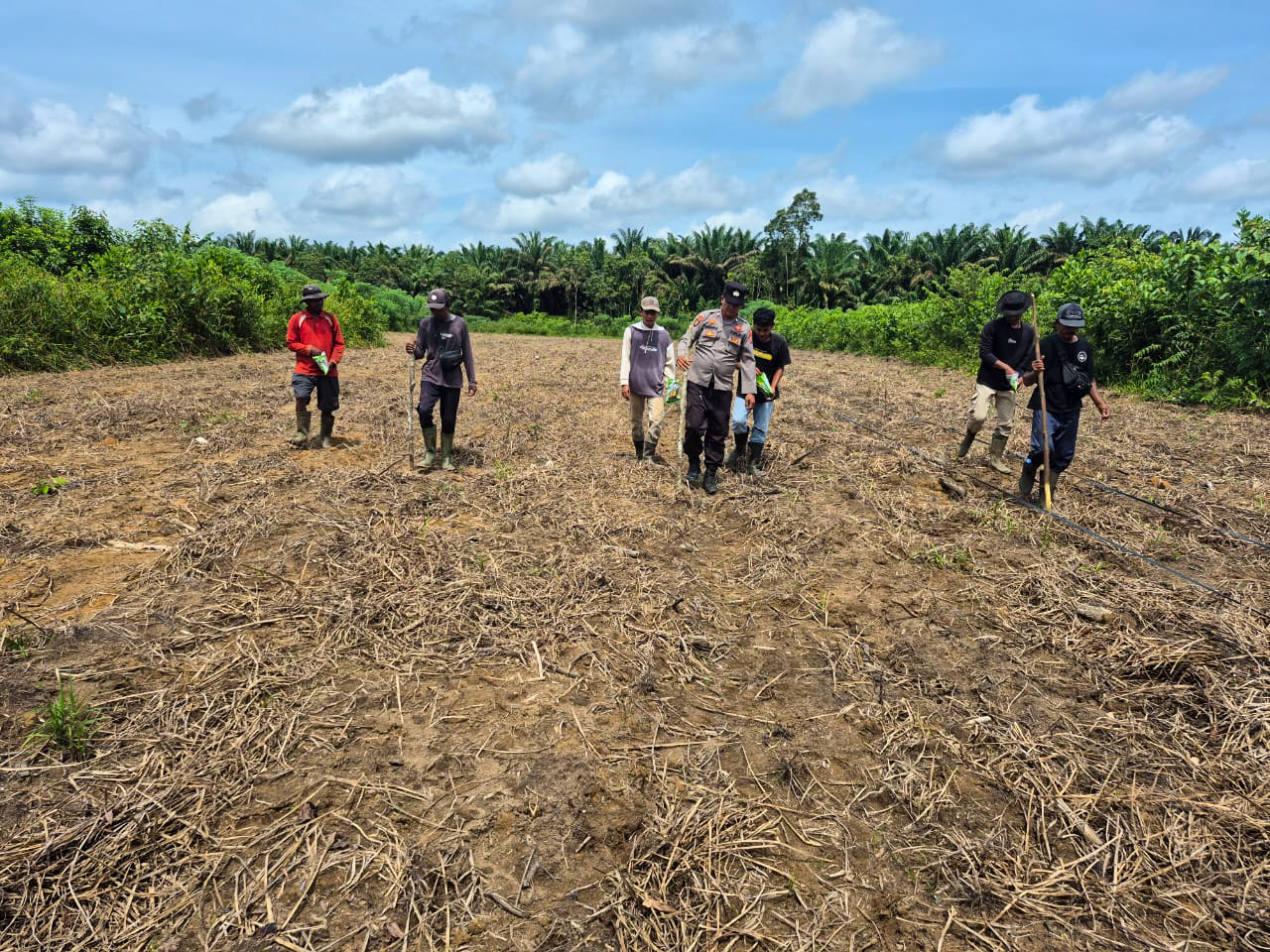 Penaburan bibi jagung hibrida di lahan seluas 2 hektare di Antang Patahu, Desa Bangkal, Kecamatan Seruyan Raya, Senin (10/11).