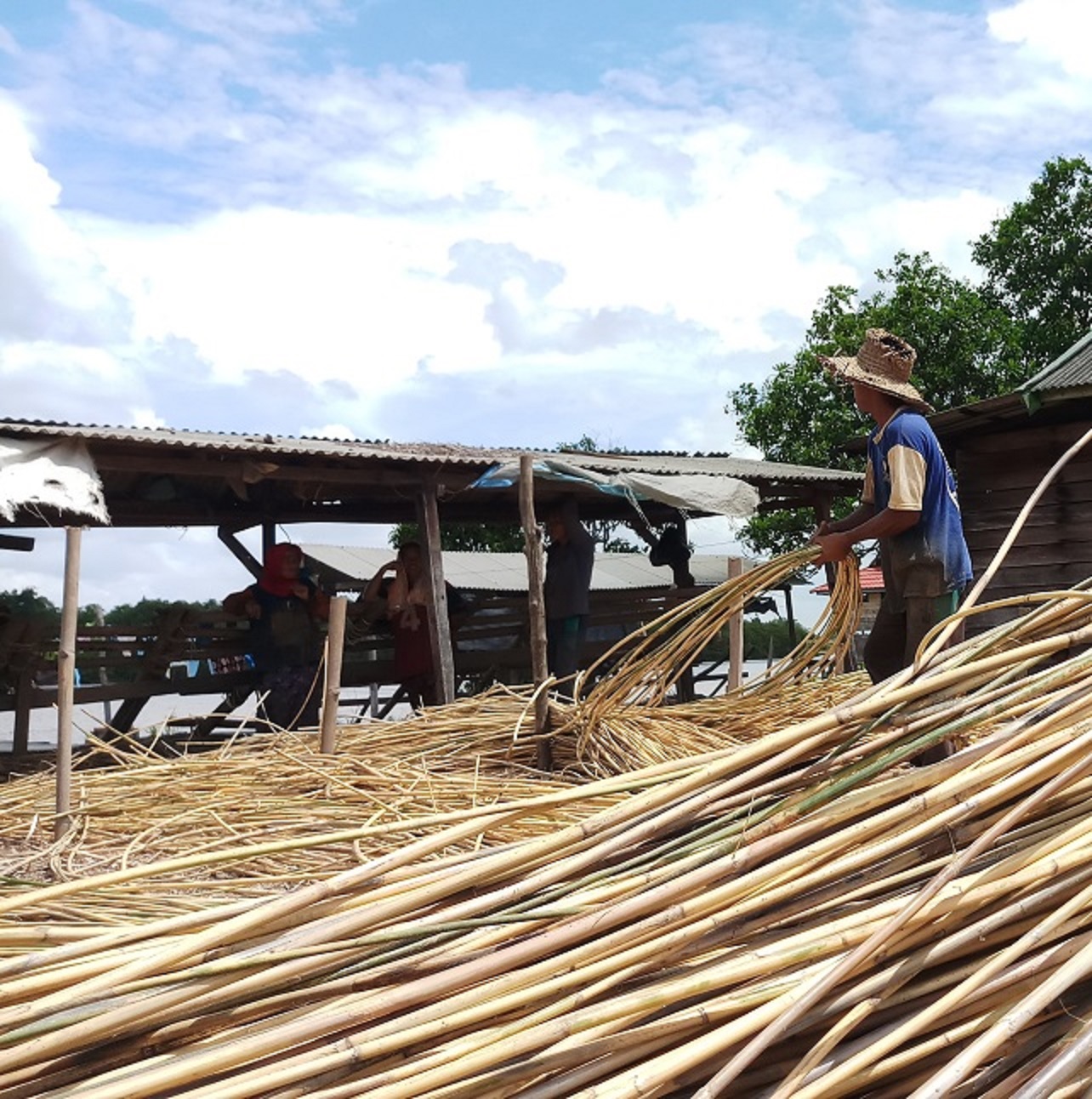 Aktivitas sejumlah pekerja lokal di sektor komoditas rotan di Kotim.