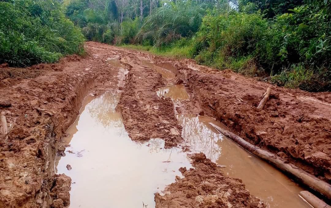 Kondisi jalan di kawasan Tanjung Jaringau yang butuh perbaikan segera