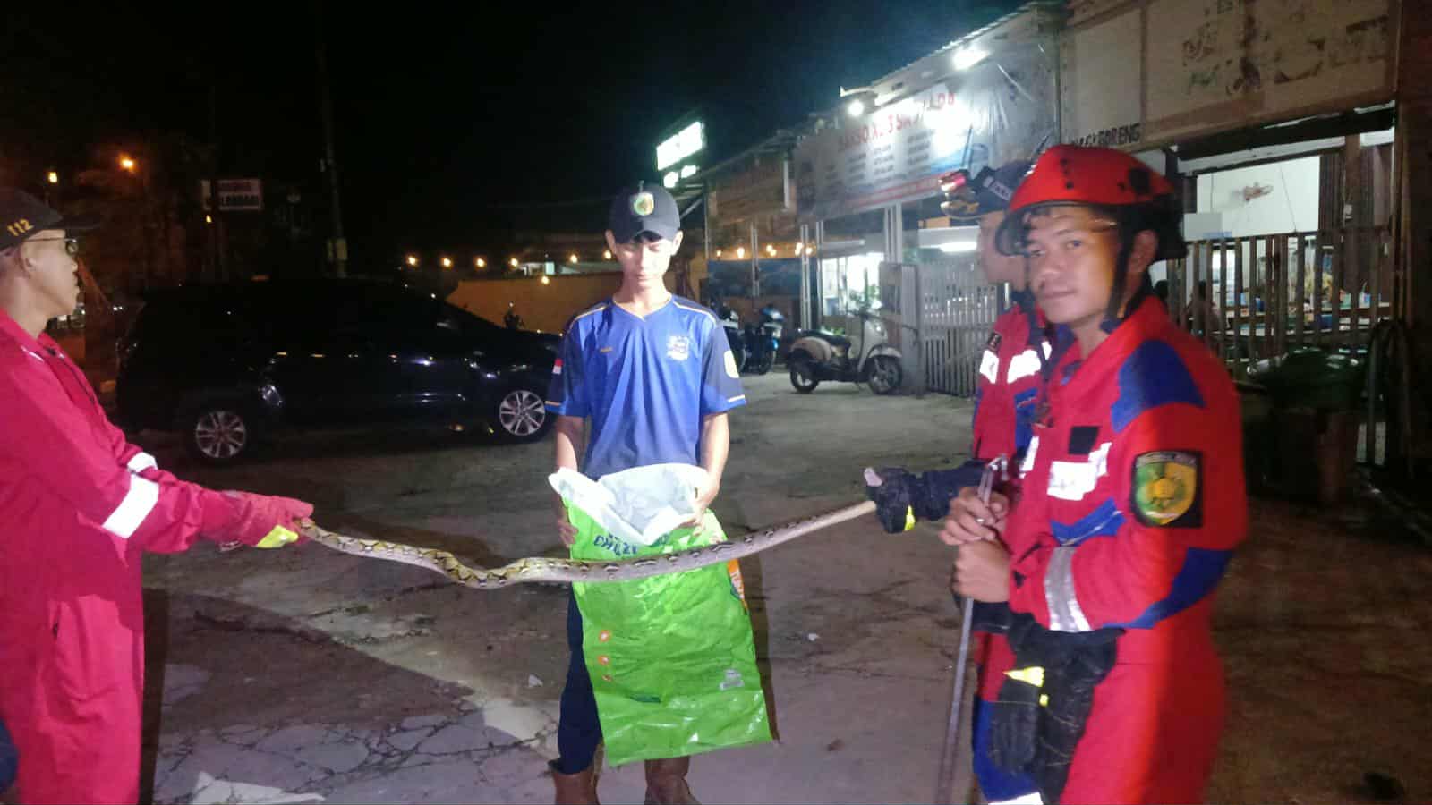 Tim Rescue Damkar Kota Palangka Raya saat melakukan penanganan ular piton yang masuk pemukiman warga.