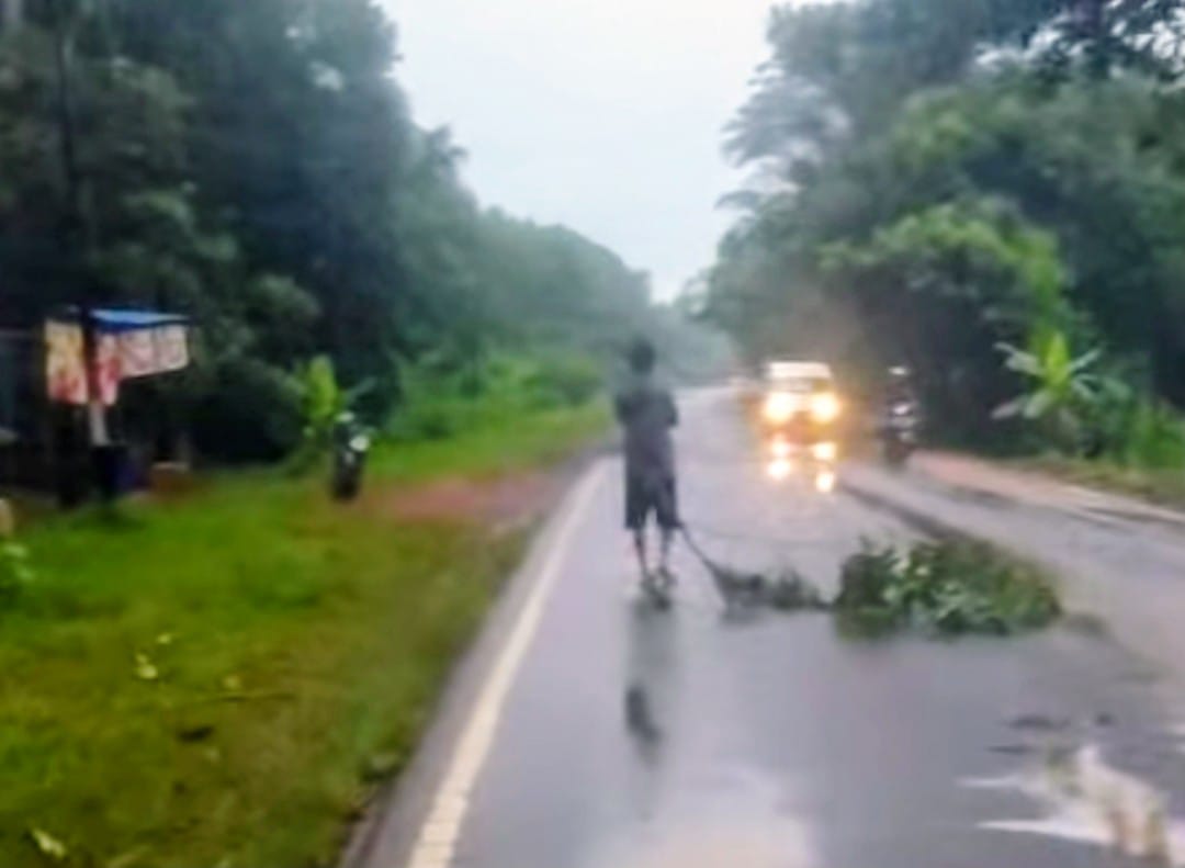 Lokasi kecelakaan maut menewaskan pengendara sepeda motor di Jalan Tjilik Riwut, Kilometer 38, Desa Jemaras, Kecamatan Cempaga, Kabupaten Kotawaringin Timur, Kamis pagi (20/11/2025).
