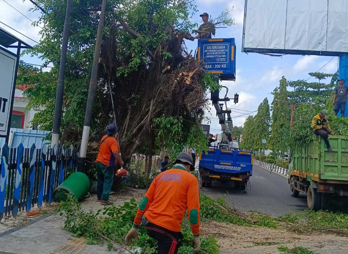 DIPANGKAS: Pemangkasan pohon yang rawan tumbang di Jalan A Yani, Sampit.