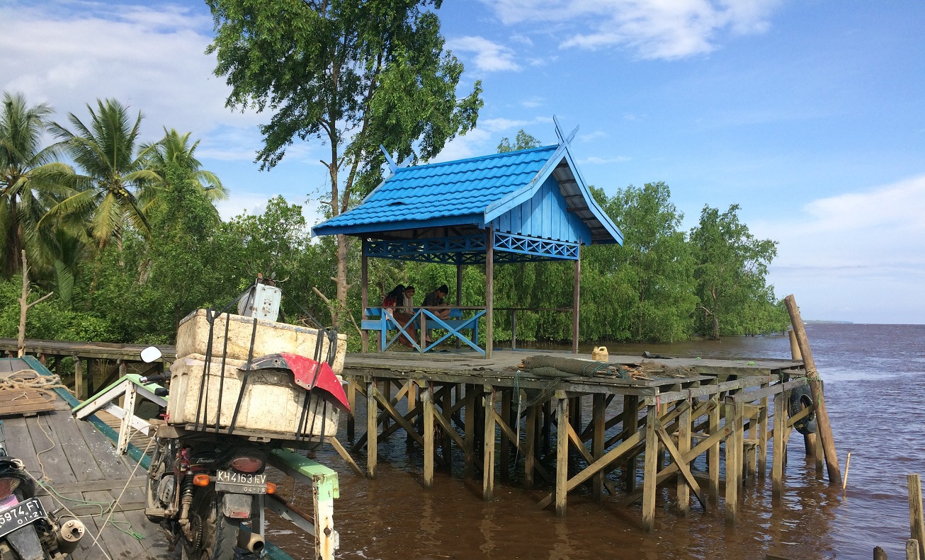 Dermaga di Desa Hantipan Kecamatan Pulau Hanaut. Warga setempat selalu menyampaikan usulan terkait kelancaran aliran listrik dan internet dalam musyawarah perencanaan pembangunan (musrenbang)