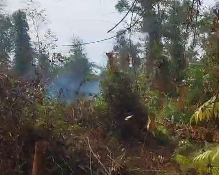KARHAN: Kepulan asap kebakaran lahan di Kelurahan Mentaya Seberang, Kecamatan Seranau, Kotawaringin Timur, Kamis (27/11/2025). FOTO: IST/RADAR SAMPIT
